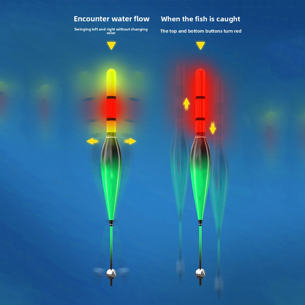 Automatische Bobber-vislijnset - Baitcasting Reel recensie en prijs